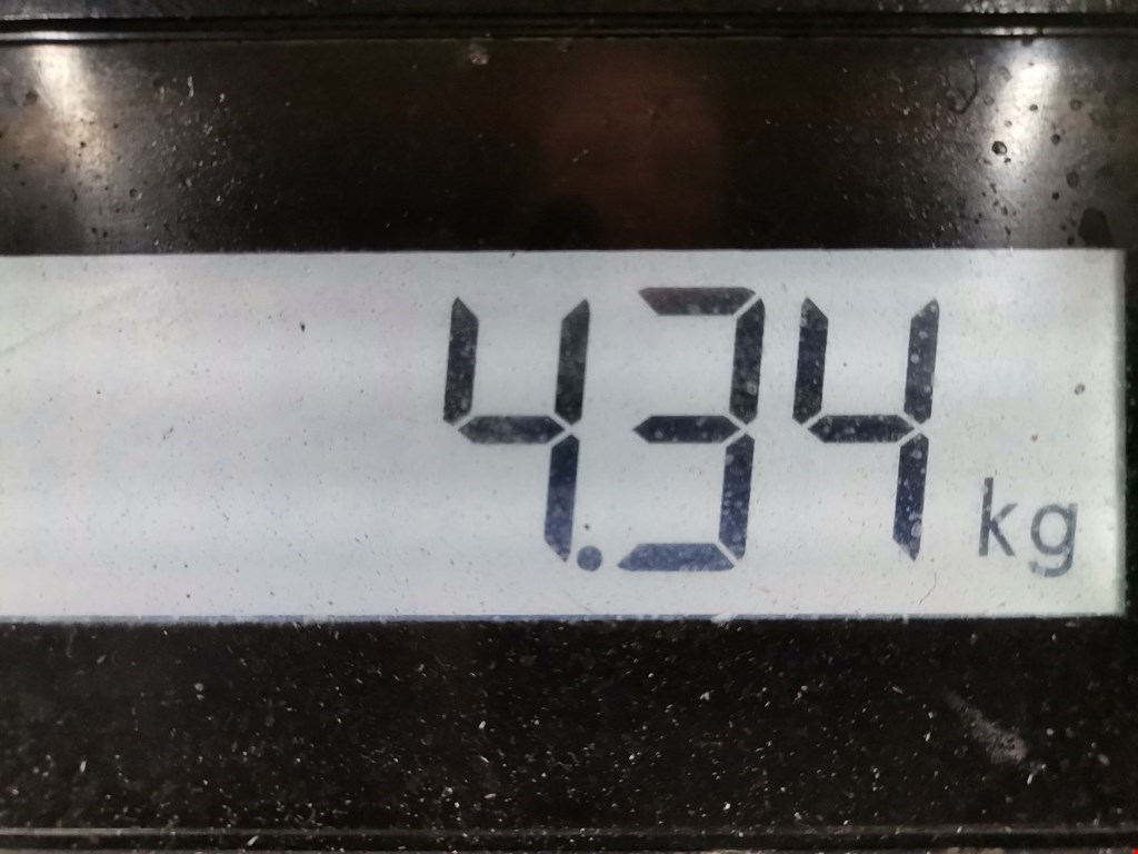 Коллектор впускной CITROEN Jumper 244 2002-2006