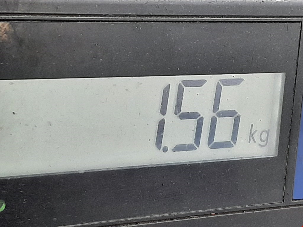 Пружина задняя левая/правая RENAULT Megane II 2002-2009