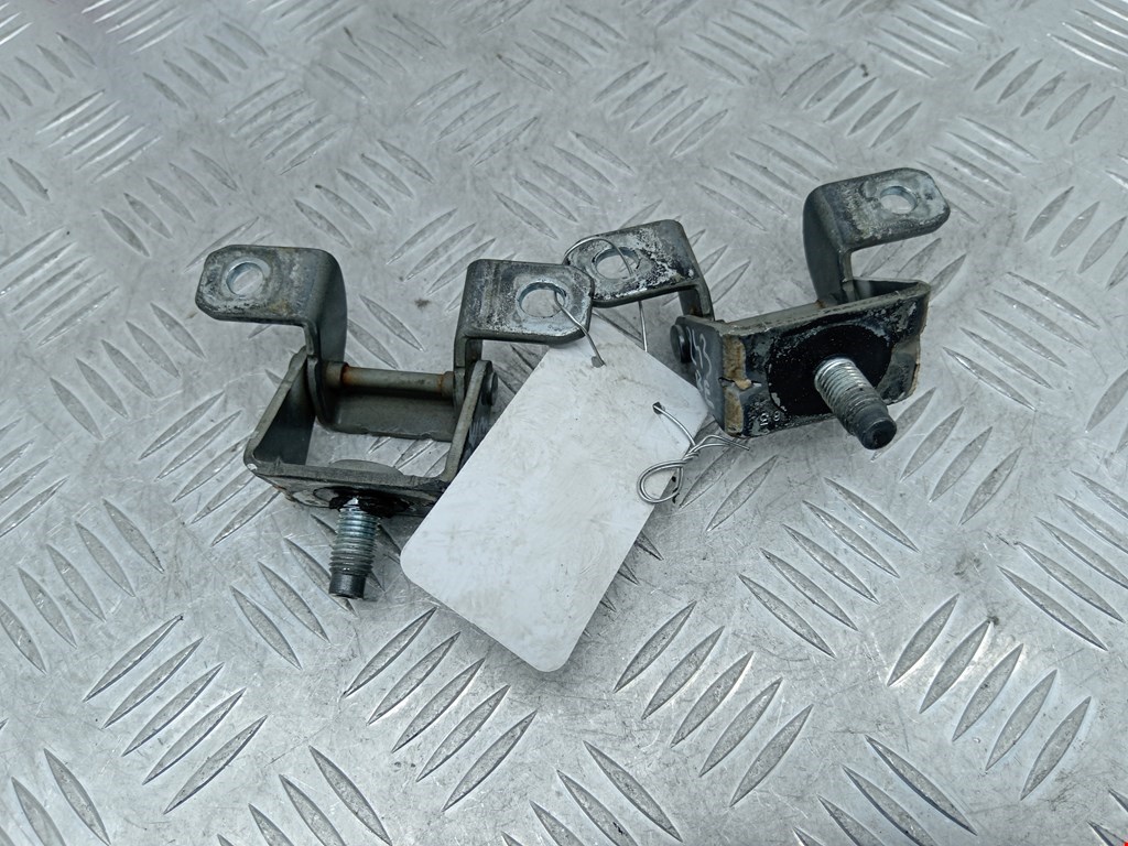 Петля крышки (двери) багажника Renault Koleos (2008-2016)