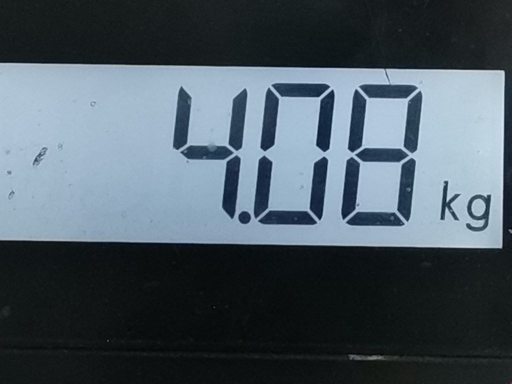 Пружина задняя левая/правая DACIA Sandero 2008-2012