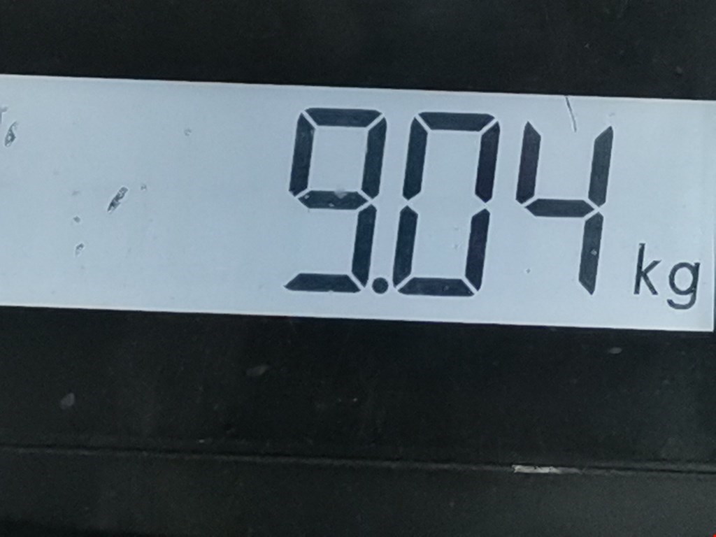 Амортизатор передний левый RENAULT Koleos HY 2008-2016