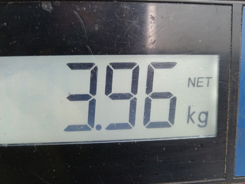 Усилитель тормозов вакуумный RENAULT Kangoo 2008-2021