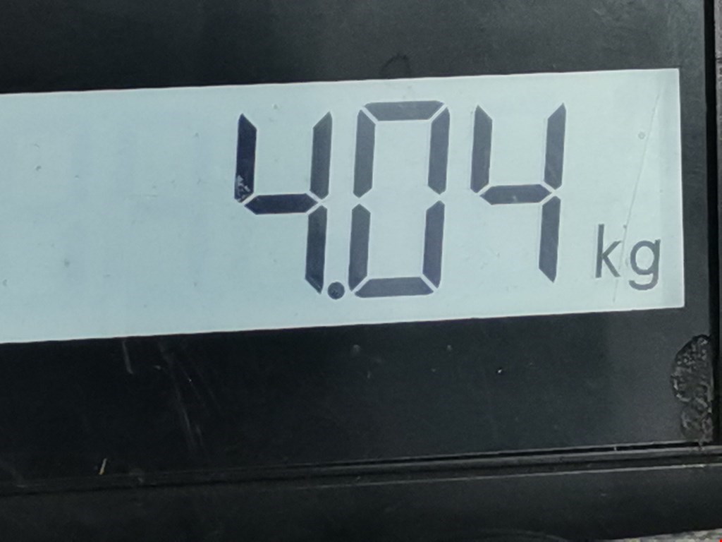 Пружина задняя левая/правая RENAULT Clio 2005-2012