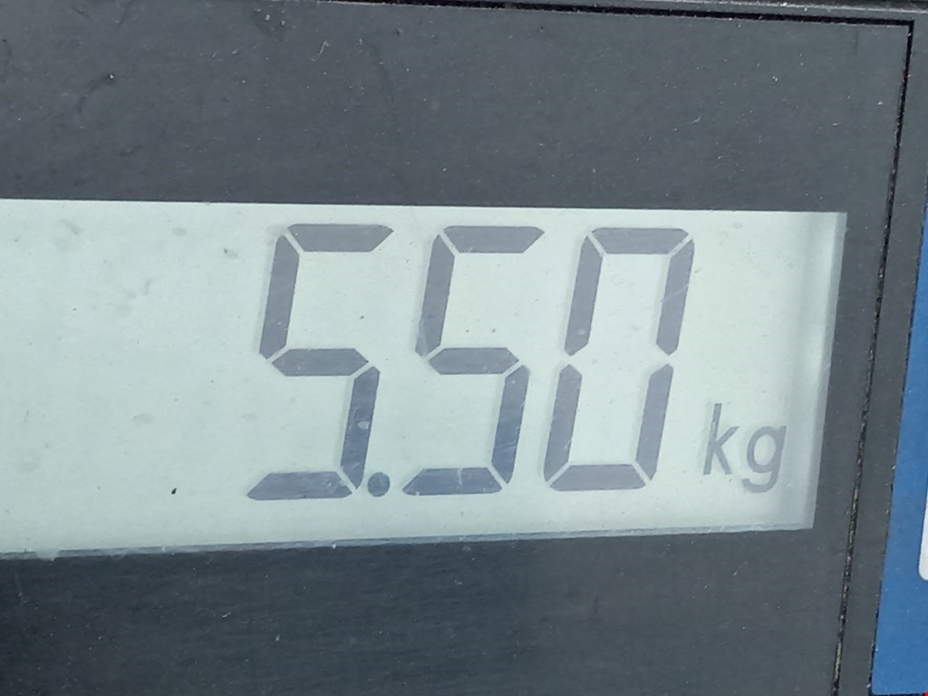 Суппорт передний правый VOLKSWAGEN Passat B5 1997-2005