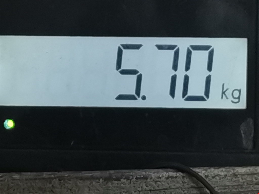 Амортизатор передний левый VOLKSWAGEN Passat B5 1997-2005