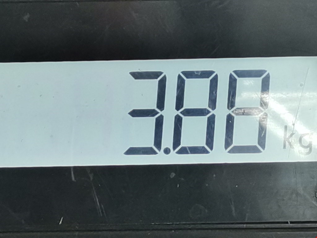 Пружина задняя левая/правая FORD Focus III 2011-2019