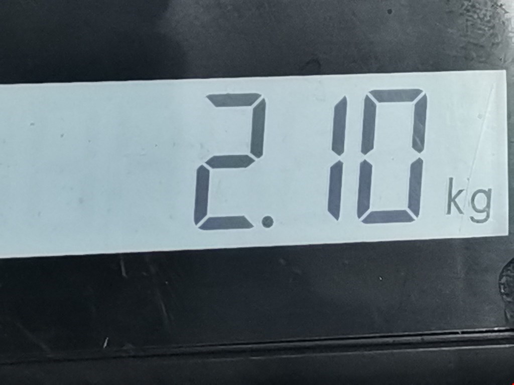 Амортизатор задний правый RENAULT Scenic I 1996-2003