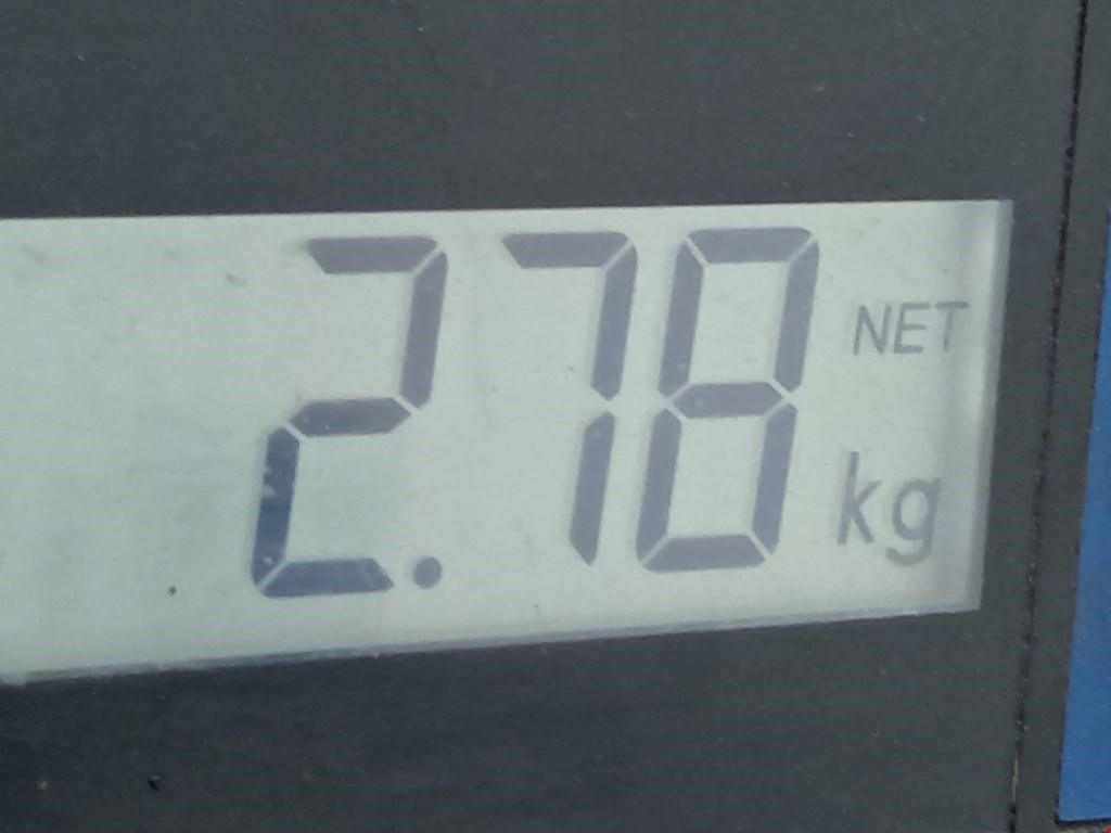 Суппорт задний левый SUBARU Outback 1999-2003