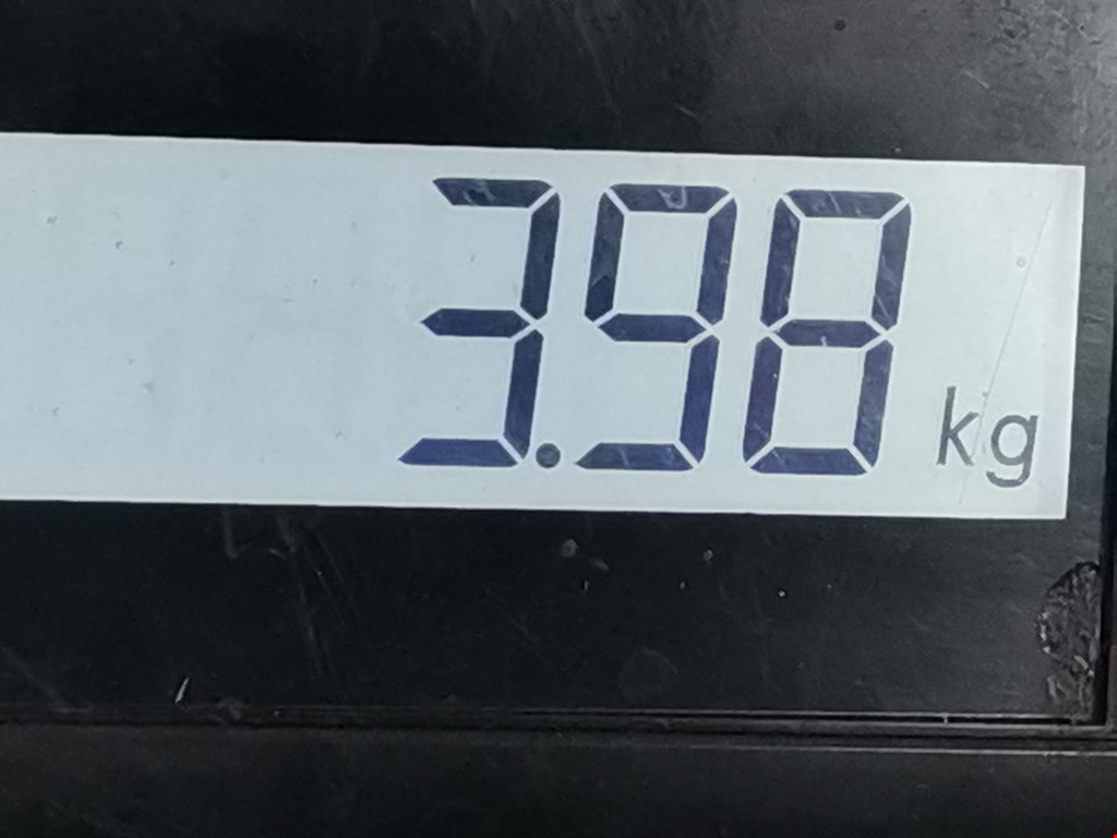 Амортизатор задний правый CITROEN Berlingo 2008-н.в.