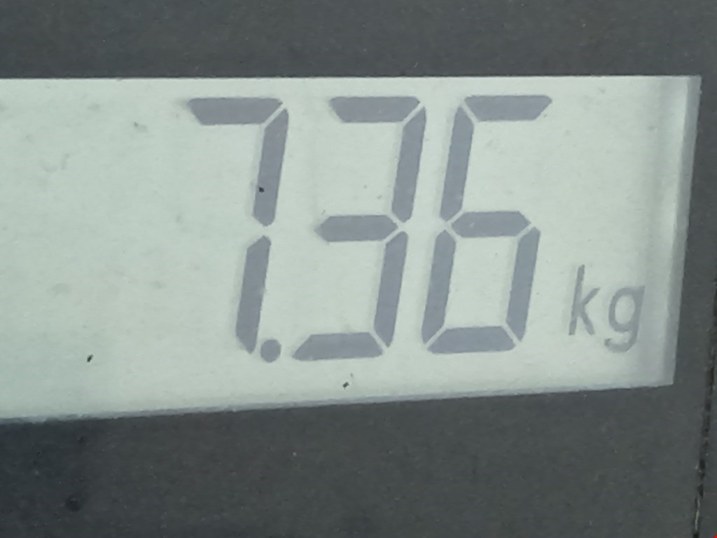 Амортизатор передний левый OPEL Astra J 2009-2017