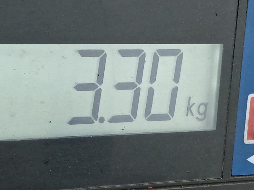 Стартер FORD Focus II 2005-2011