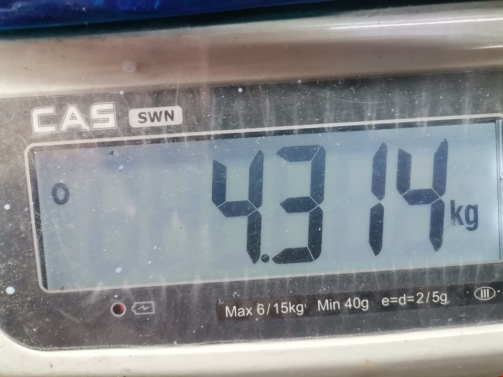 Колонка рулевая LEXUS RX 300 1997-2003