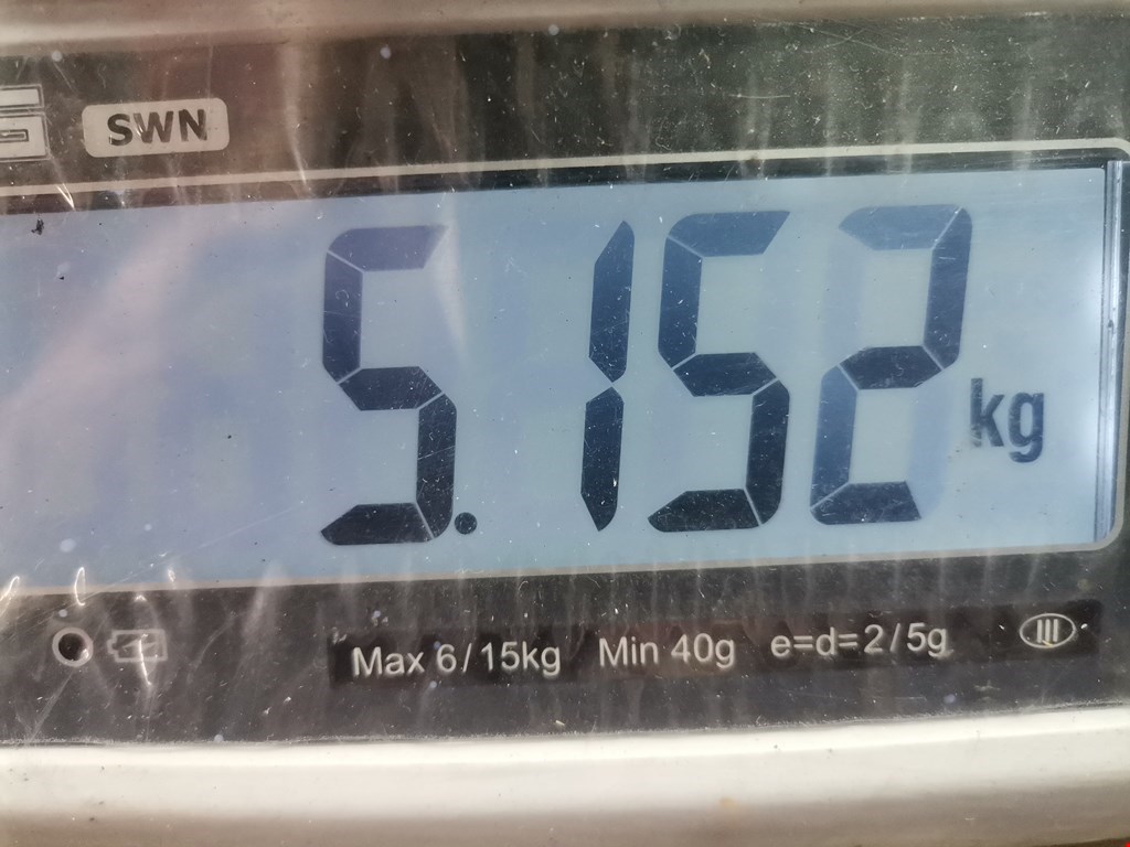 Колонка рулевая SEAT Ibiza 2002-2008