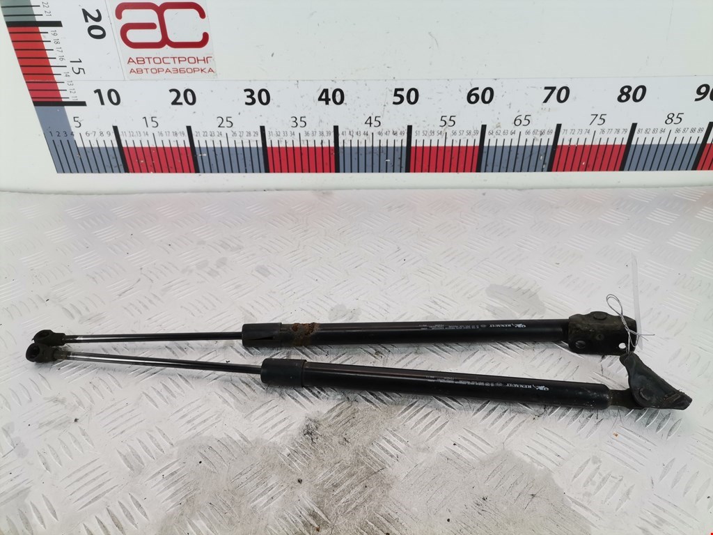 Амортизатор крышки (двери) багажника RENAULT Scenic III 2010-2015