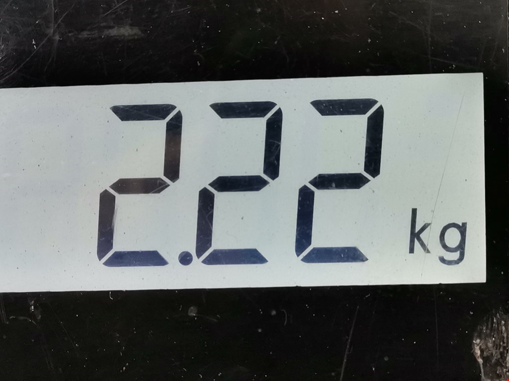 Интеркулер (радиатор интеркулера) FORD Focus III 2011-2019