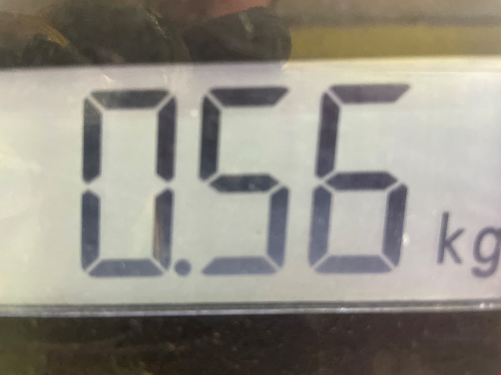 Панель приборов (щиток) DACIA Sandero 2008-2012