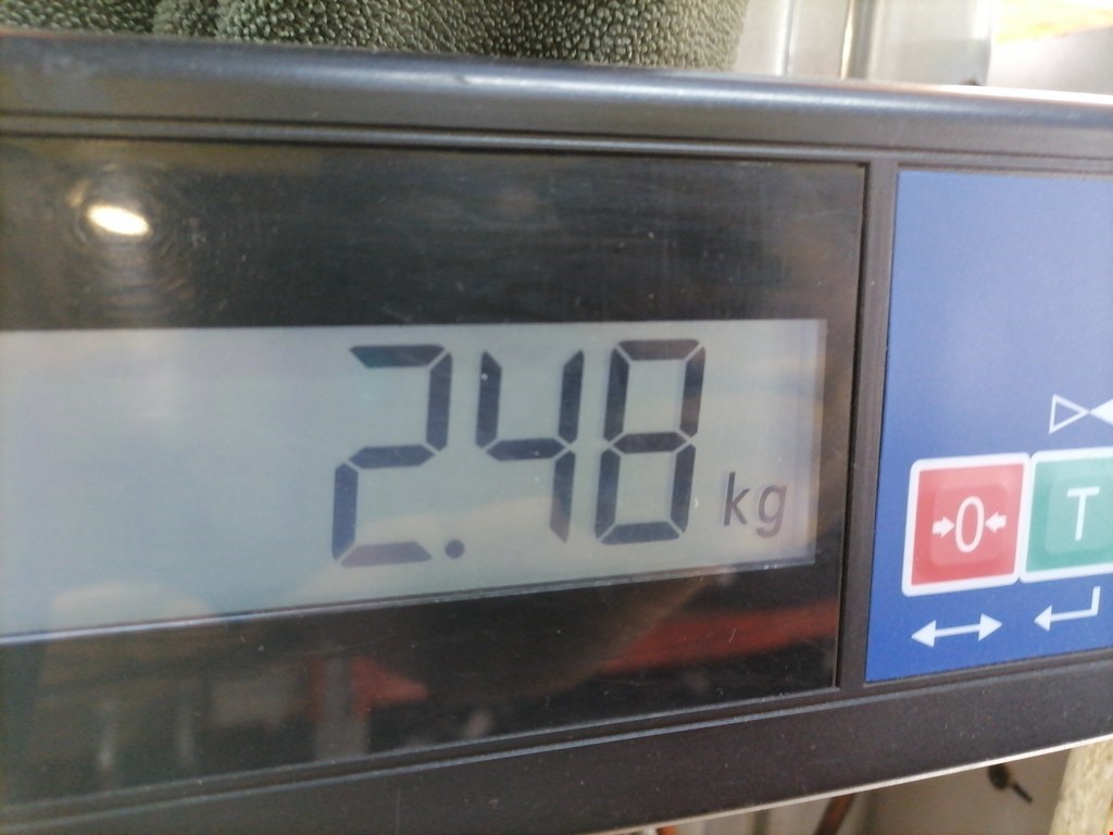 Стеклоподъемник задний правый FORD Focus II 2005-2011