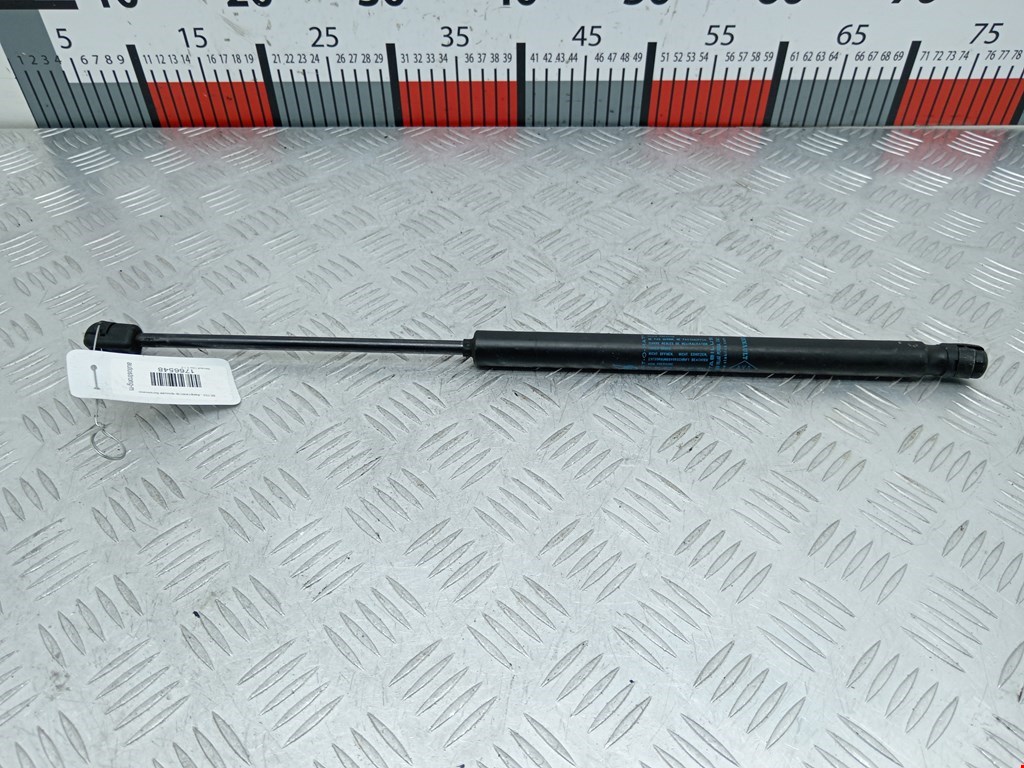 Амортизатор крышки (двери) багажника RENAULT Clio 2005-2012