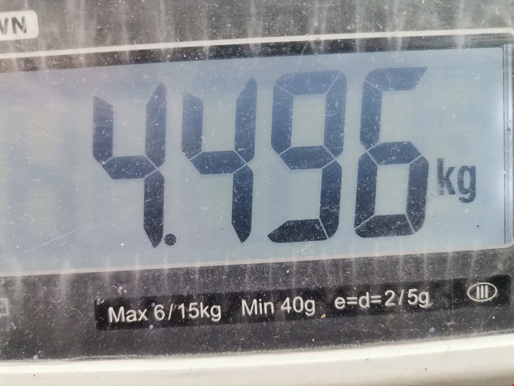 Колонка рулевая SEAT Ibiza 2002-2008