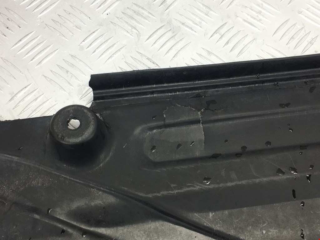 Защита антигравийная MERCEDES-BENZ S-Class IV W220 1998-2005