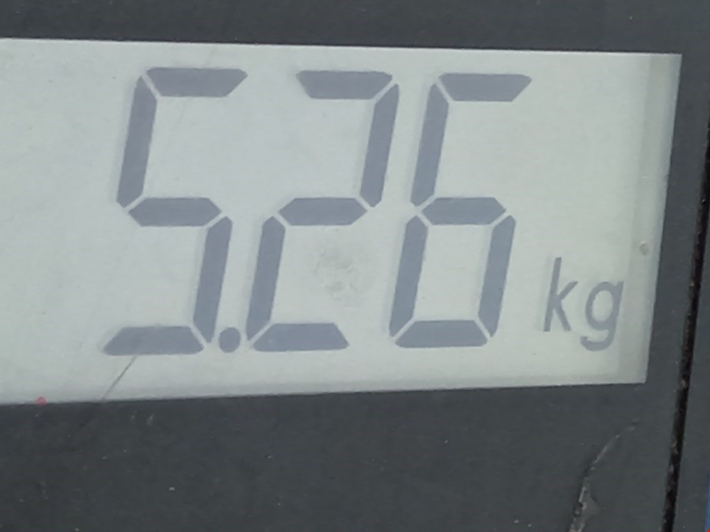 Ступица передняя левая RENAULT Modus 2004-2012