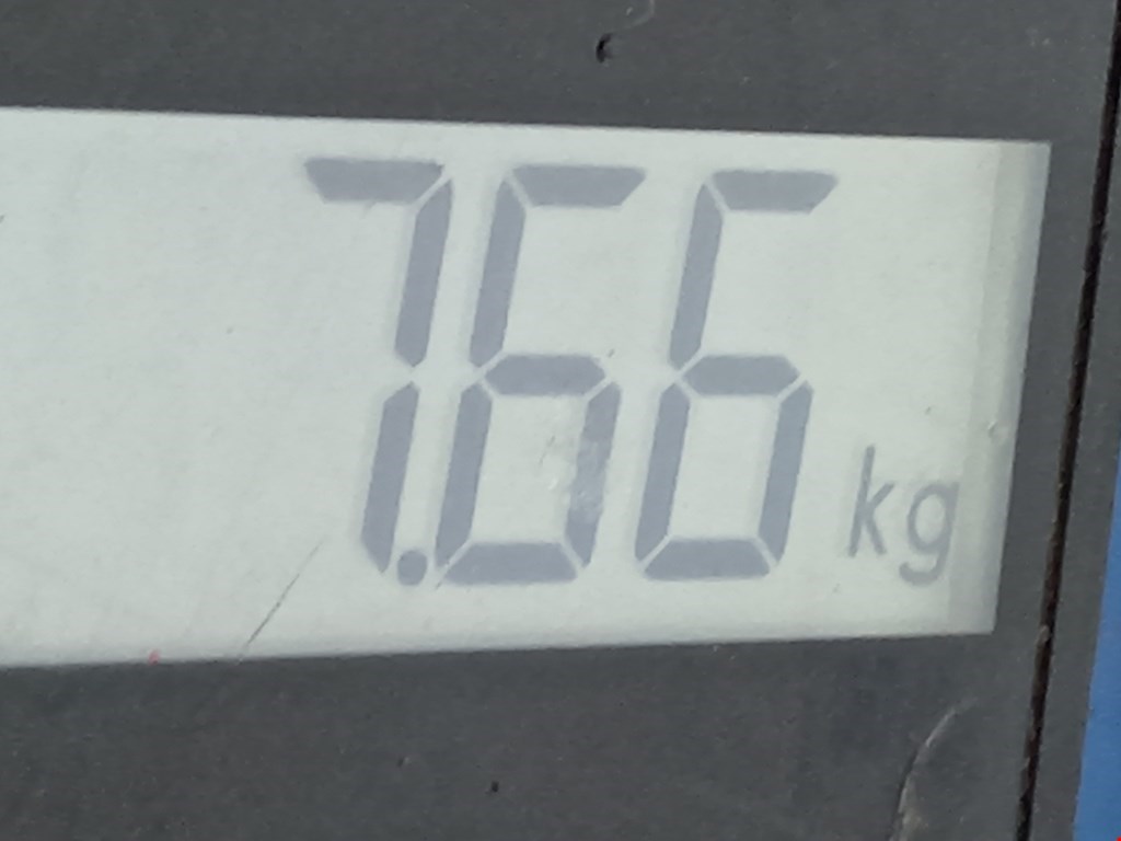 Амортизатор задний правый CHRYSLER 300 M 300M 1998-2004