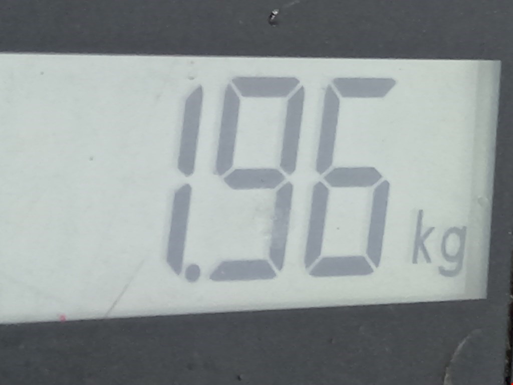 Амортизатор задний правый PEUGEOT 207 2006-2015