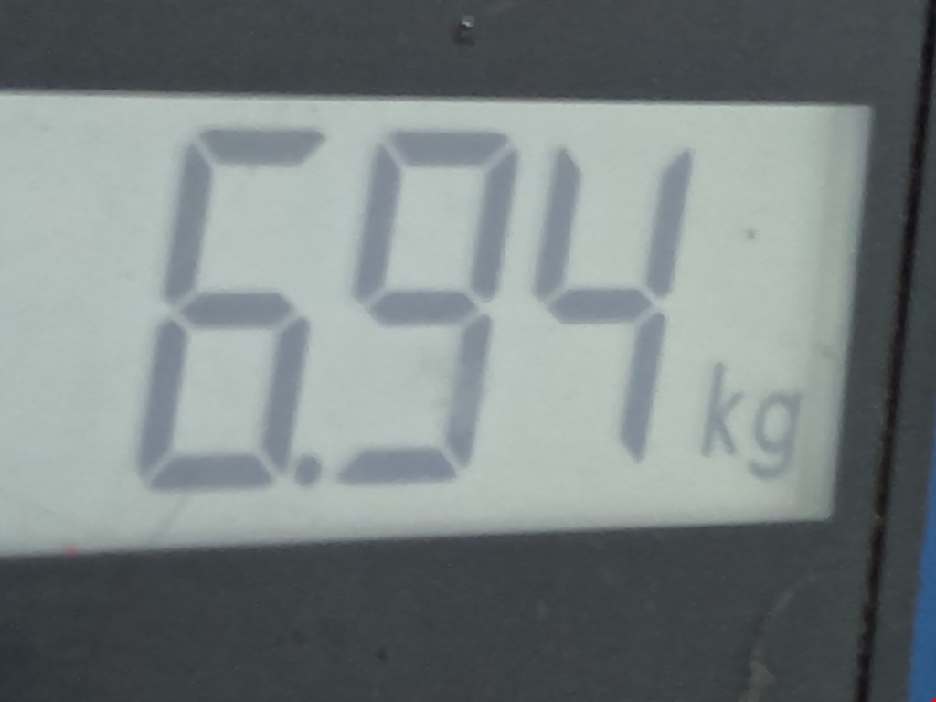 Амортизатор передний левый RENAULT Megane II 2002-2009