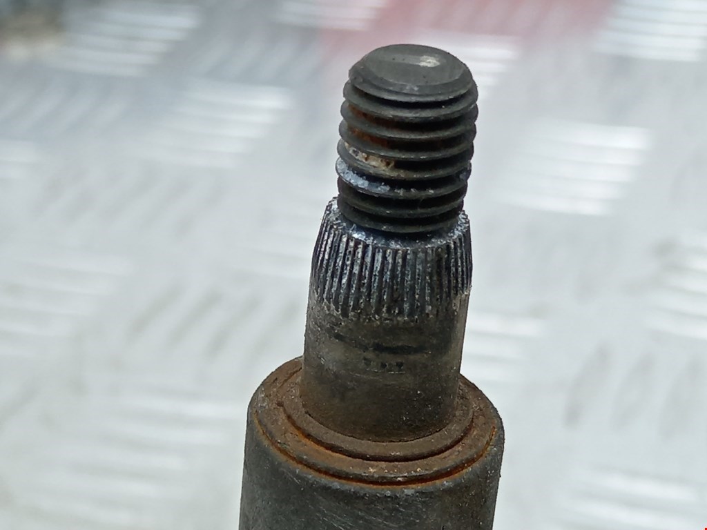 thumb