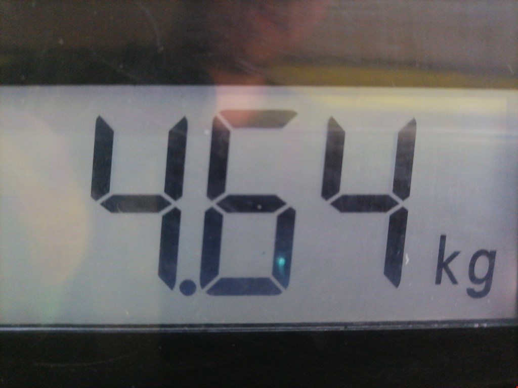 Вентилятор радиатора основного VOLKSWAGEN Polo IV 2001-2009