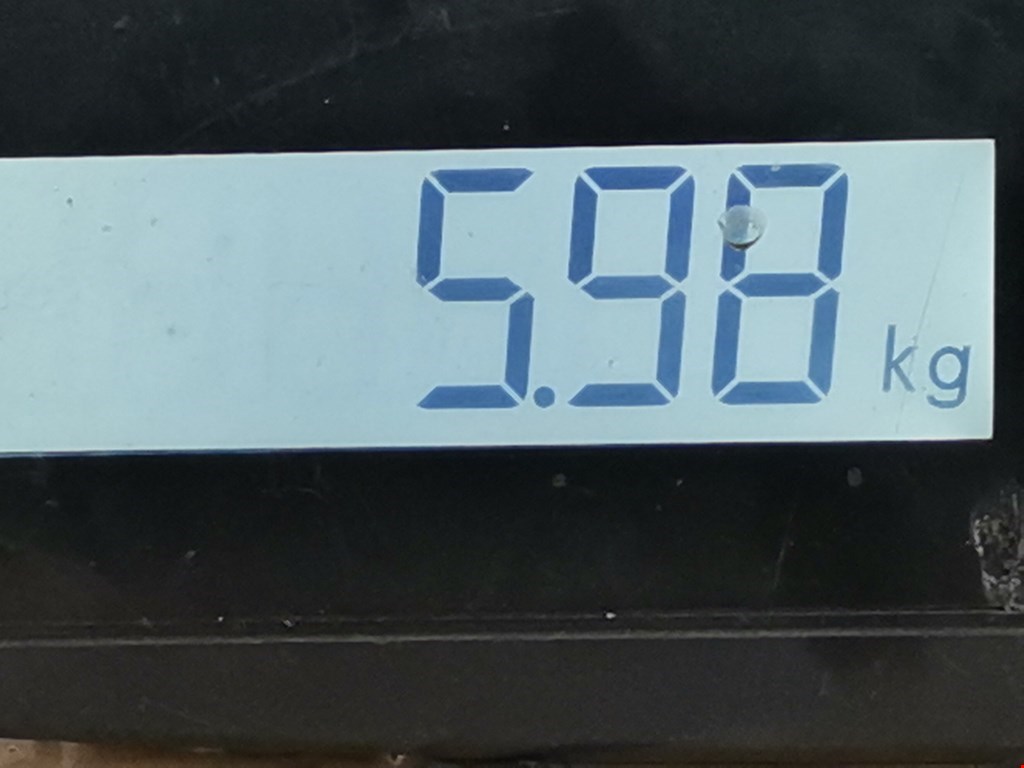 Амортизатор задний правый BMW 5er 5 серия F10/F11/F07 2009-2017