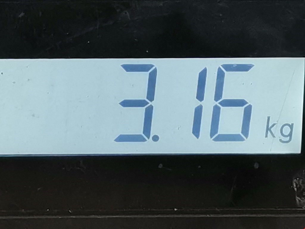 Пружина задняя левая/правая OPEL Astra K 2015-2021