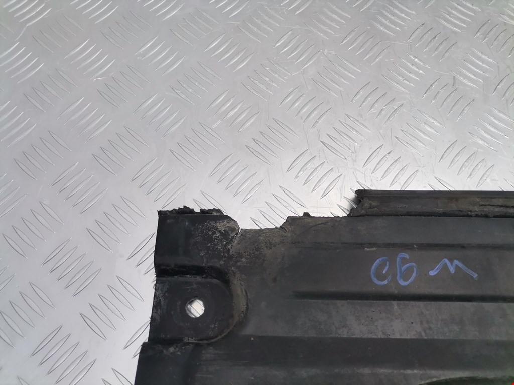 Защита антигравийная MERCEDES-BENZ S-Class IV W220 1998-2005