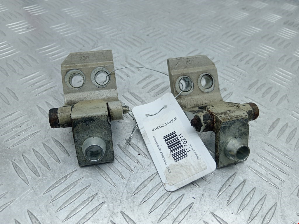 Петля двери передней левой Peugeot 206 (1998-2006)