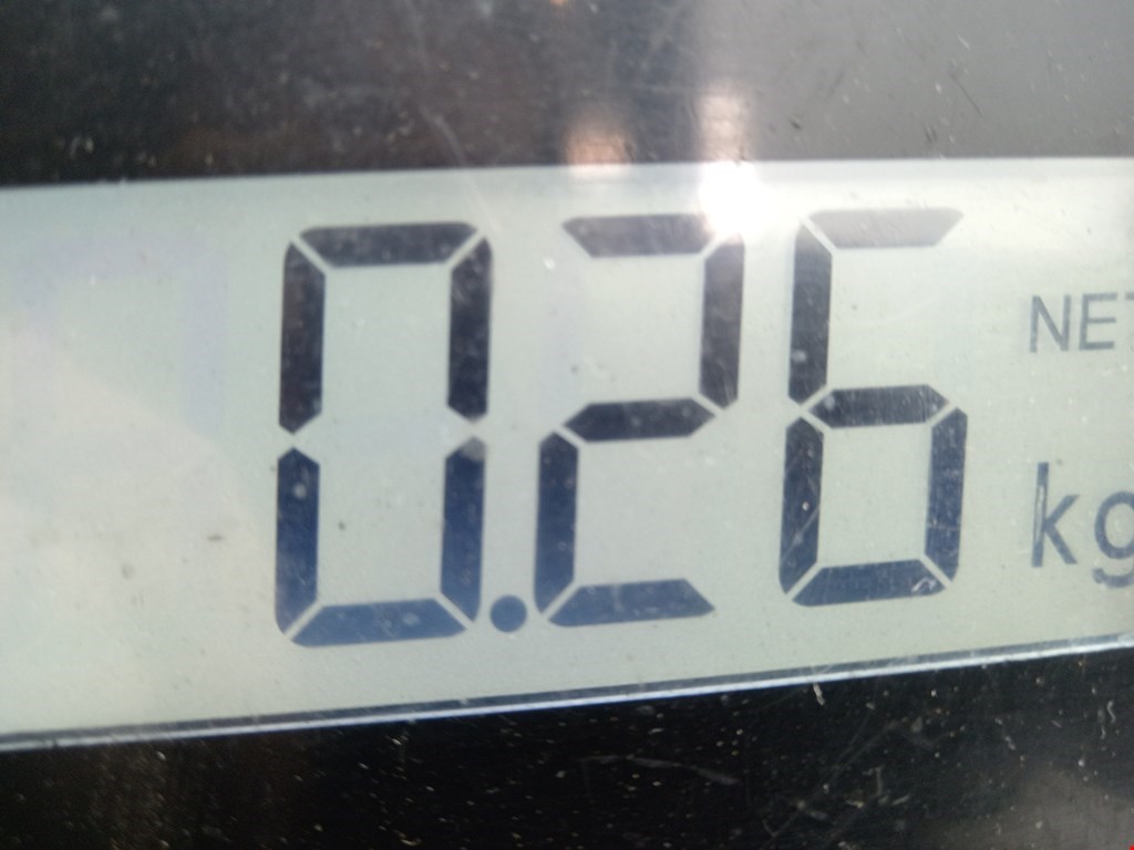 Амортизатор крышки (двери) багажника FORD Focus I 1998-2005