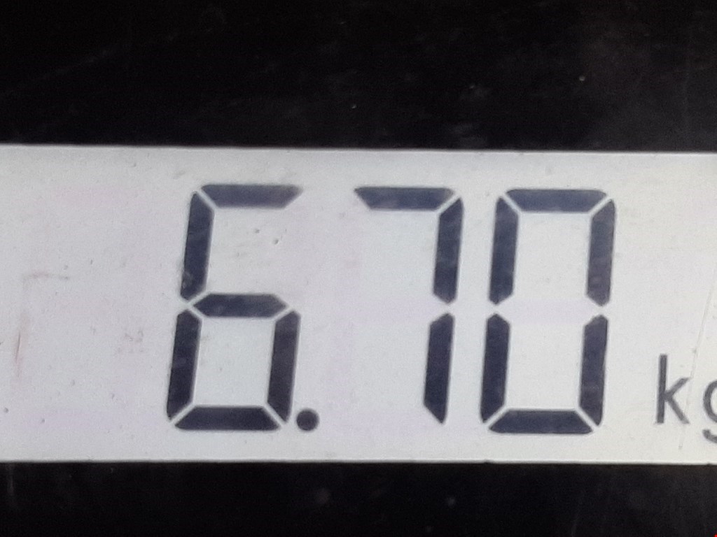 Амортизатор передний левый VOLKSWAGEN Passat B6 2005-2011