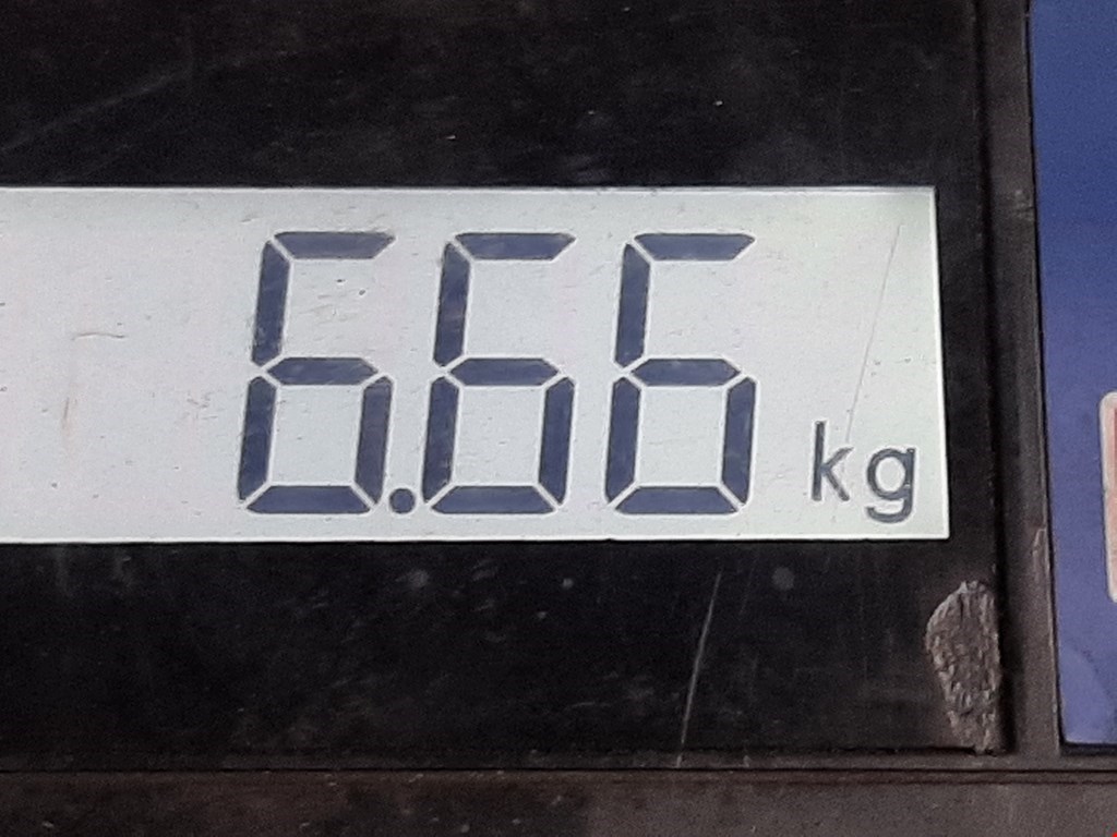 Амортизатор передний правый SEAT Ibiza 2002-2008