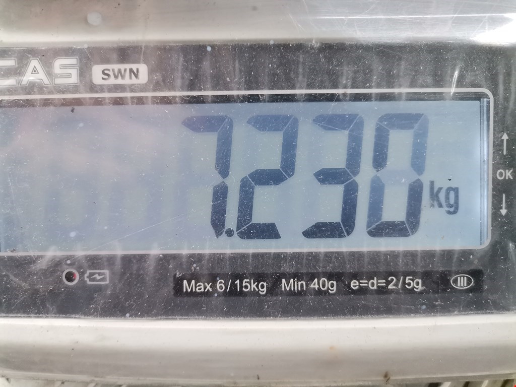 Амортизатор передний левый RENAULT Espace 1997-2003