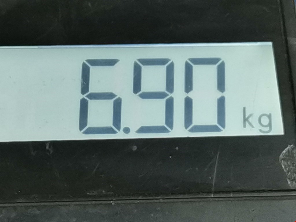 Амортизатор передний правый SEAT Ibiza 2002-2008