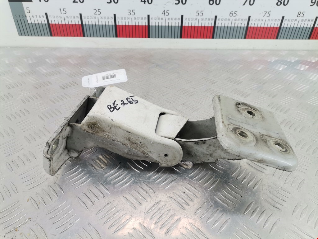 Петля двери распашной Citroen Jumpy (Dispatch) 2 (2006-2016)