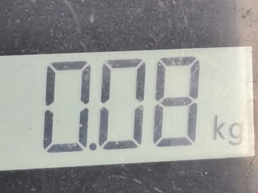 Плафон салонный (салона фонарь) FIAT Ducato 2014-н.в.