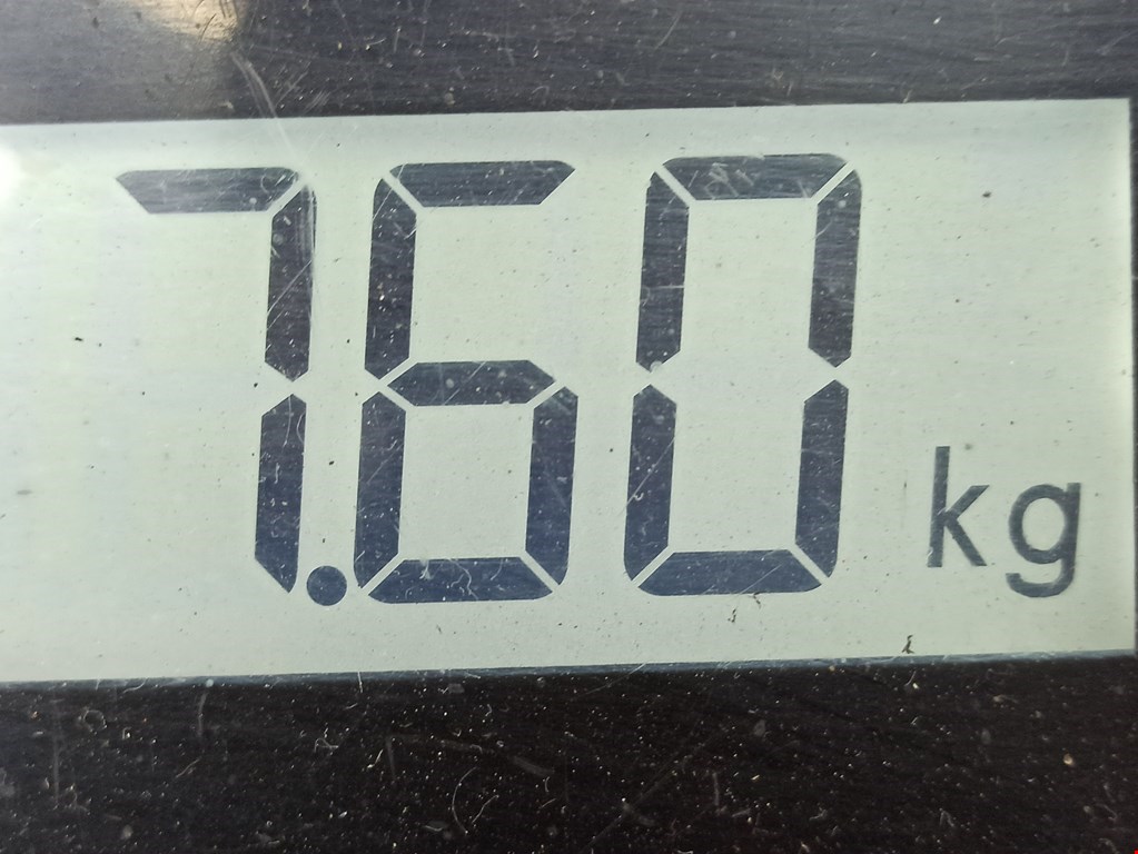 Диск тормозной задний PEUGEOT 206 1998-2012