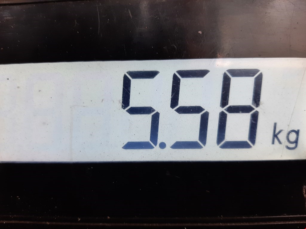 Суппорт передний правый VOLKSWAGEN Passat B6 2005-2011