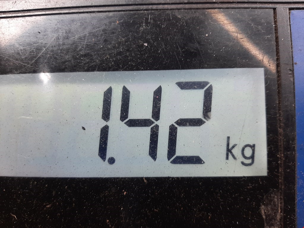 Амортизатор задний правый OPEL Tigra A 1994-2001