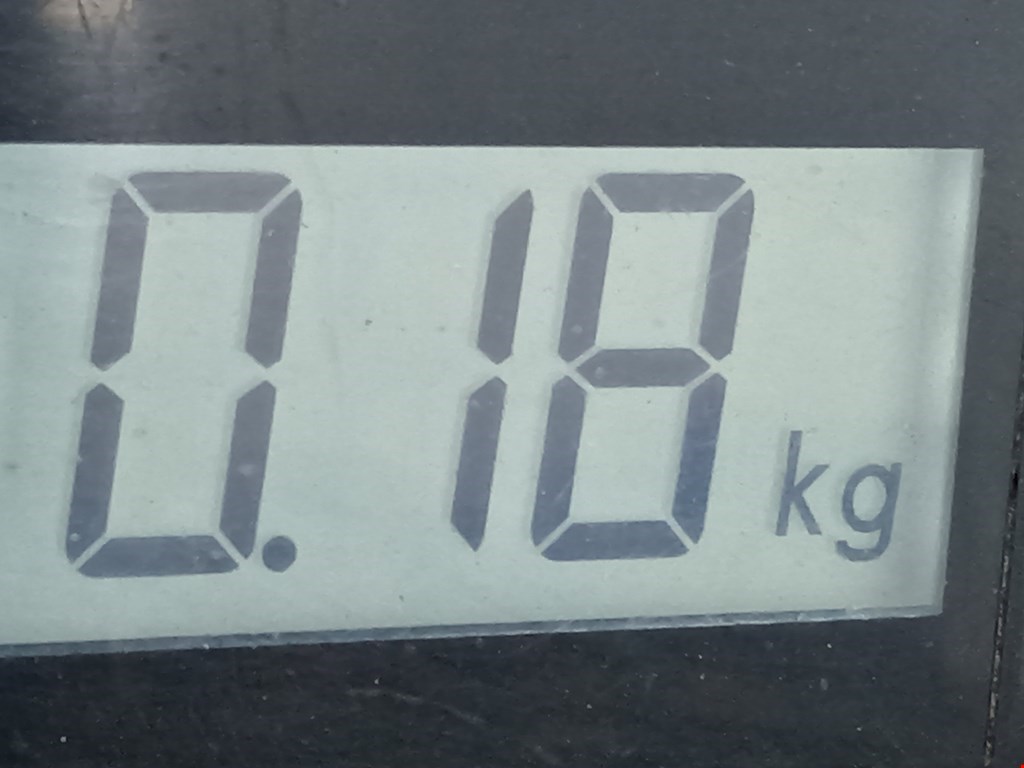 Ролик двери сдвижной (левый/правый средний верхний/нижний) RENAULT Kangoo 1997-2008