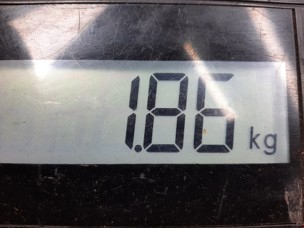 Амортизатор задний правый VOLKSWAGEN Bora 1998-2005