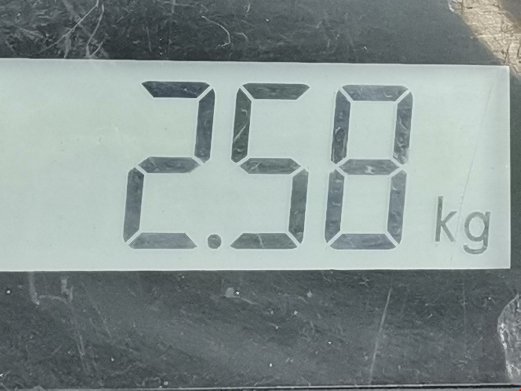 Подушка безопасности боковая (шторка) LAND ROVER Range Rover Sport 2005-2013