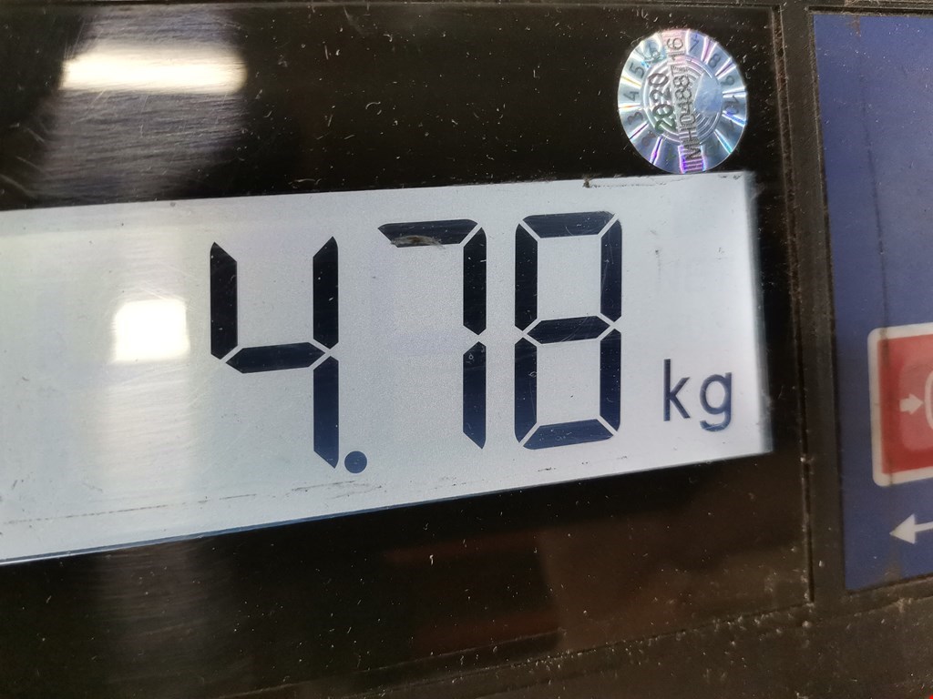 Корзина сцепления FORD Focus I 1998-2005