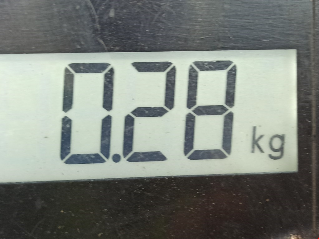 Защита антигравийная FORD Focus III 2011-2019