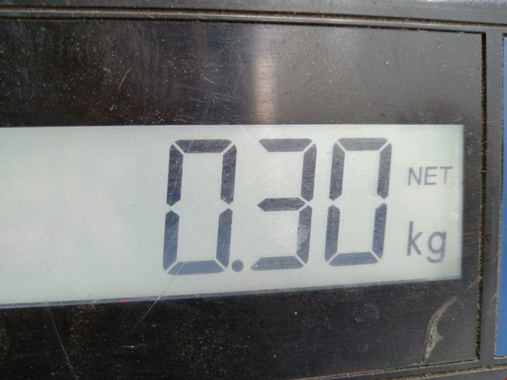 Амортизатор крышки (двери) багажника NISSAN X-Trail T30 2000-2007